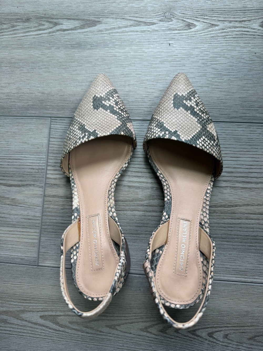 Antonio Melani Snakeskin Print Pointed Toe Block Heel Pumps Women’s Size 6.5M